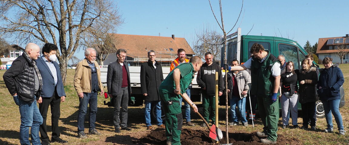 GWW pflanzt Baum