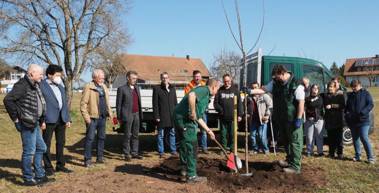 GWW pflanzt Baum