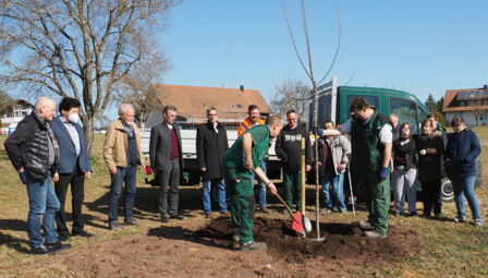 GWW pflanzt Baum